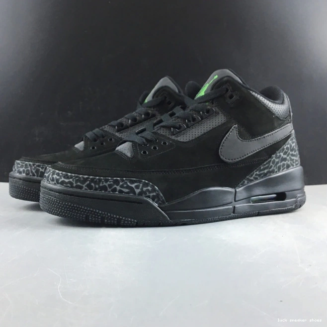 LUCY Oregon 3 AJ3-902027 Duck Jordan Air Retro 0703